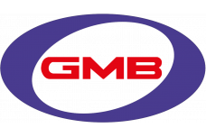 GMB 6203-2RS
