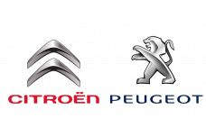 Peugeot / Citroen 16 318 317 80